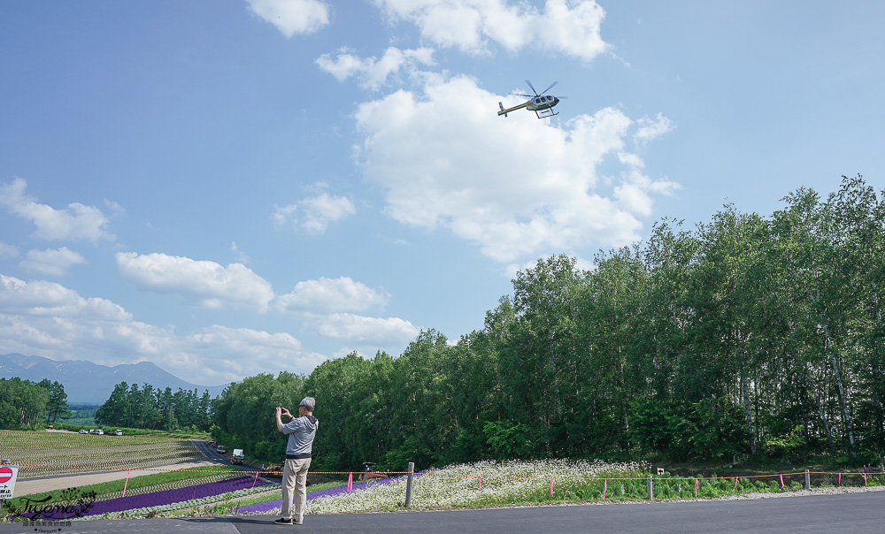 北道美瑛｜四季彩之丘：春夏季限定免入園費，遊園車NOROCCO號！10月~6月免門票 @緹雅瑪 美食旅遊趣