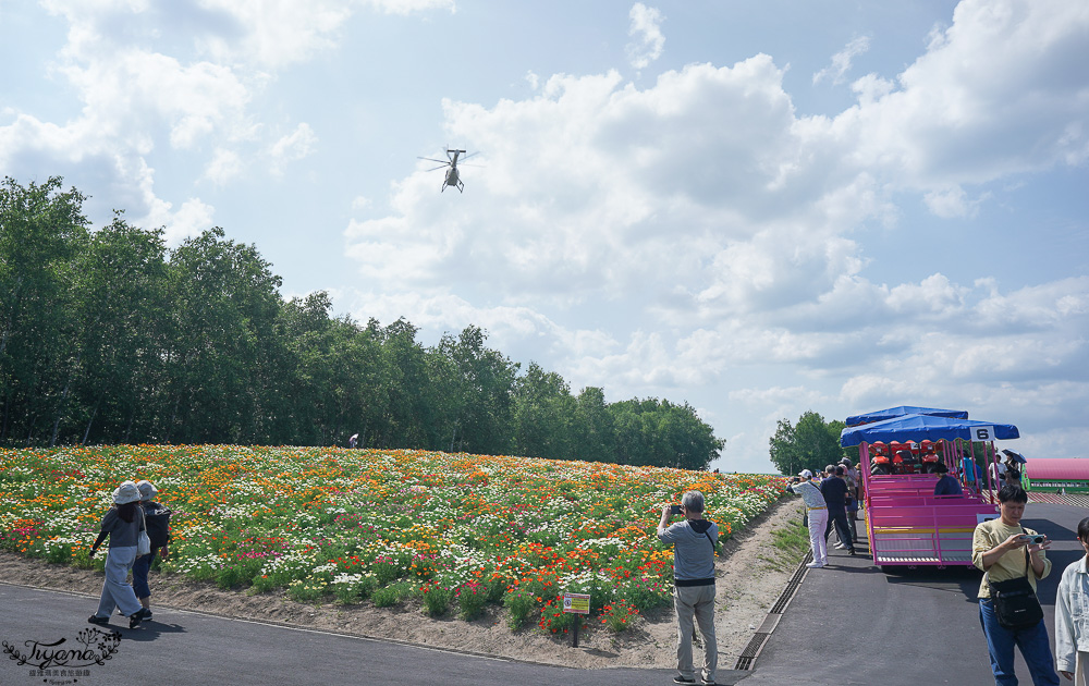 北道美瑛｜四季彩之丘：春夏季限定免入園費，遊園車NOROCCO號！10月~6月免門票 @緹雅瑪 美食旅遊趣