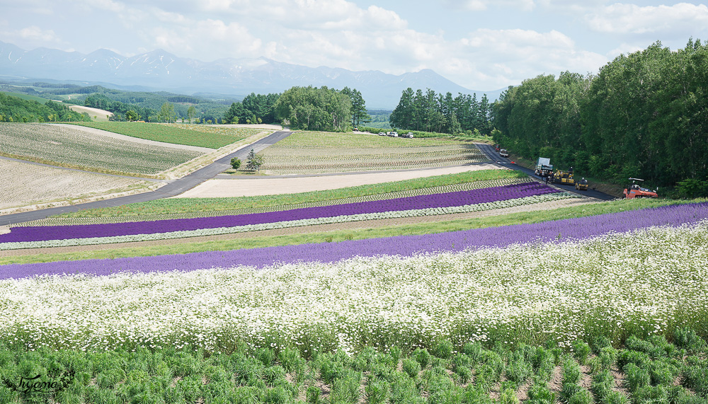 北道美瑛｜四季彩之丘：春夏季限定免入園費，遊園車NOROCCO號！10月~6月免門票 @緹雅瑪 美食旅遊趣