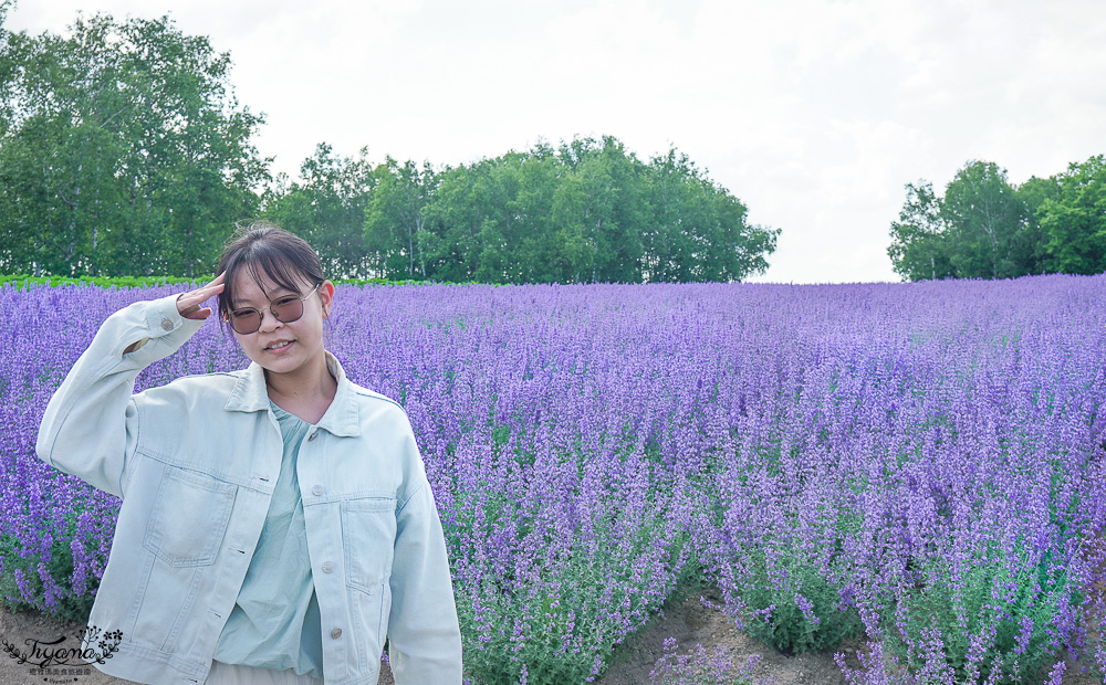 北道美瑛｜四季彩之丘：春夏季限定免入園費，遊園車NOROCCO號！10月~6月免門票 @緹雅瑪 美食旅遊趣