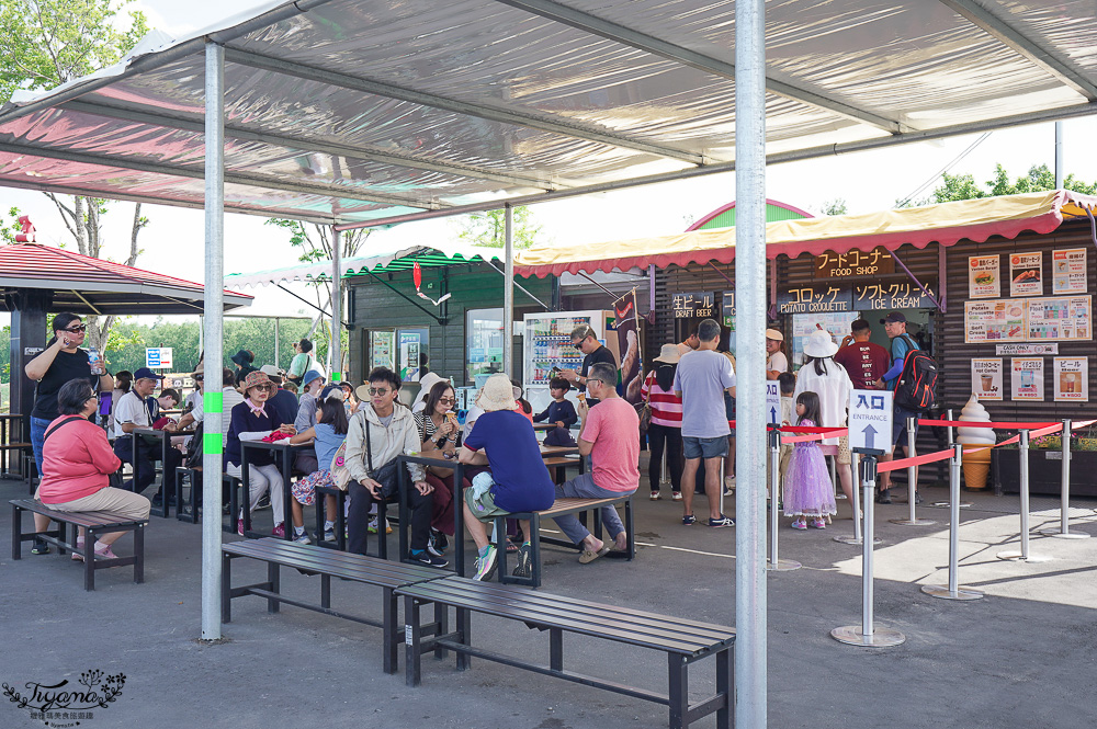 北道美瑛｜四季彩之丘：春夏季限定免入園費，遊園車NOROCCO號！10月~6月免門票 @緹雅瑪 美食旅遊趣