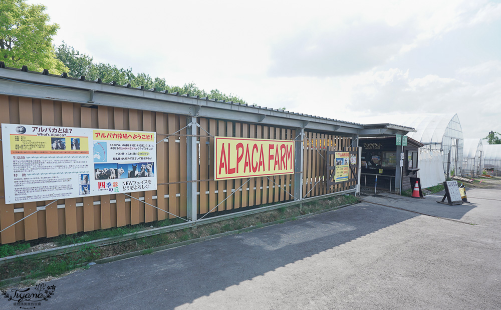 北道美瑛｜四季彩之丘：春夏季限定免入園費，遊園車NOROCCO號！10月~6月免門票 @緹雅瑪 美食旅遊趣