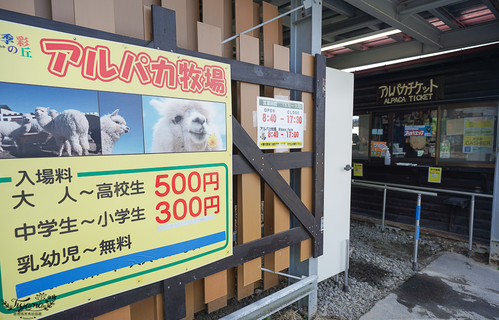 北道美瑛｜四季彩之丘：春夏季限定免入園費，遊園車NOROCCO號！10月~6月免門票 @緹雅瑪 美食旅遊趣