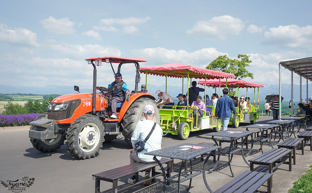北道美瑛｜四季彩之丘：春夏季限定免入園費，遊園車NOROCCO號！10月~6月免門票 @緹雅瑪 美食旅遊趣