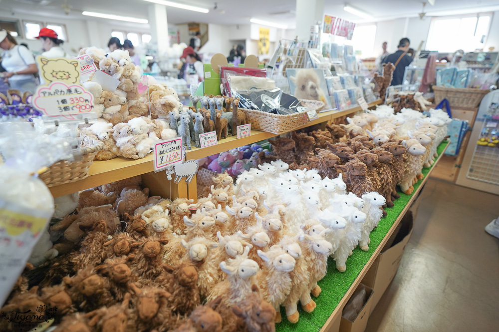 北道美瑛｜四季彩之丘：春夏季限定免入園費，遊園車NOROCCO號！10月~6月免門票 @緹雅瑪 美食旅遊趣