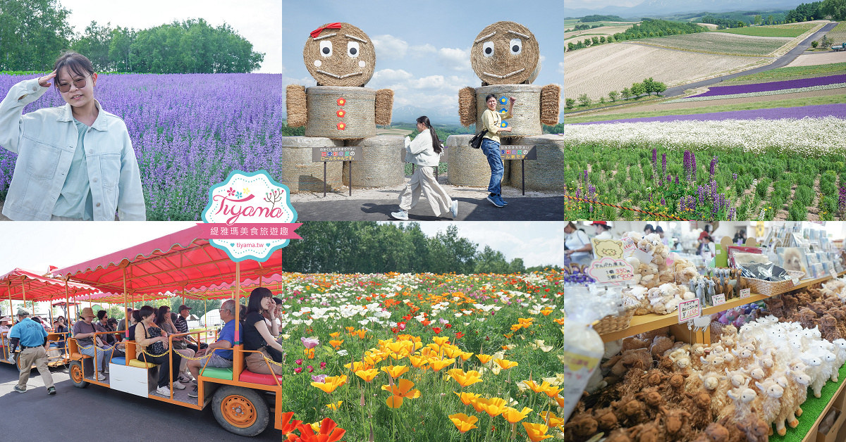 北道美瑛｜四季彩之丘：春夏季限定免入園費，遊園車NOROCCO號！10月~6月免門票 @緹雅瑪 美食旅遊趣