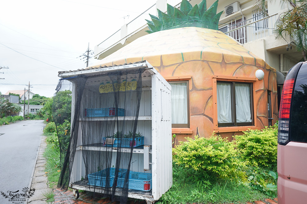 沖繩西表島咖啡廳「農園Cafe ファイミール」芒果芭菲,慢活小島的溫馨咖啡廳 @緹雅瑪 美食旅遊趣 沖繩西表島咖啡廳「農園Cafe ファイミール」芒果芭菲,慢活小島的溫馨咖啡廳 @緹雅瑪 美食旅遊趣