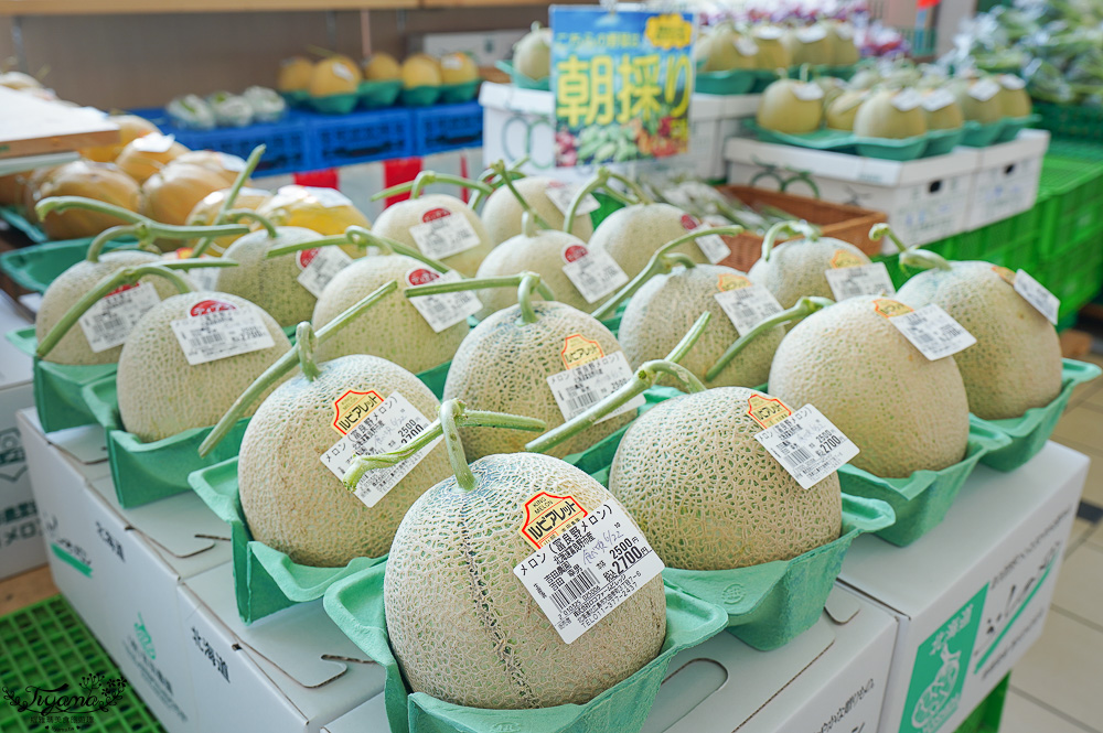 北海道OUTLET「三井OUTLET PARK 札幌北廣島」超好逛OUTLET購物中心,先領折價券再去逛街 @緹雅瑪 美食旅遊趣 北海道OUTLET「三井OUTLET PARK 札幌北廣島」超好逛OUTLET購物中心,先領折價券再去逛街 @緹雅瑪 美食旅遊趣