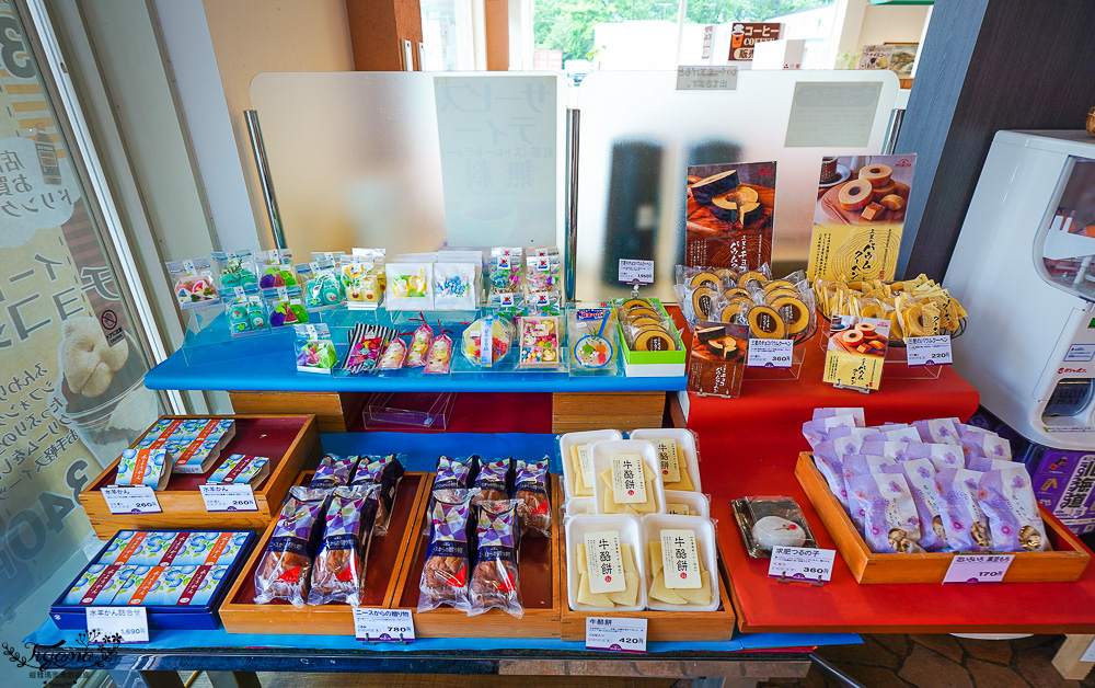 北海道三星蛋糕「藍靛果蛋糕 三星｜三星 ウトナイ店」長生不老果蛋糕，苫小牧道路休息站旁 @緹雅瑪 美食旅遊趣