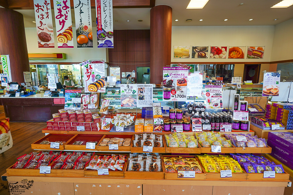 北海道三星蛋糕「藍靛果蛋糕 三星｜三星 ウトナイ店」長生不老果蛋糕，苫小牧道路休息站旁 @緹雅瑪 美食旅遊趣