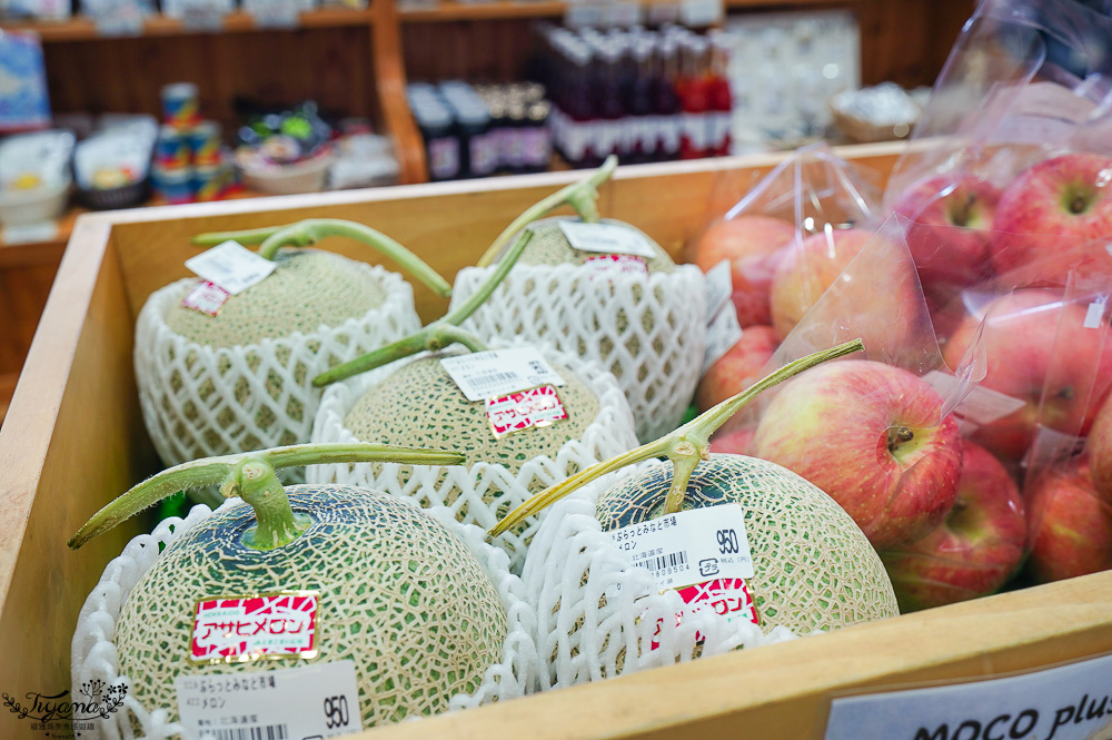 北海道苫小牧道路休息站|宇多內湖展望台「道の駅ウトナイ湖 展望台」吃美食小吃、買土產水果 @緹雅瑪 美食旅遊趣 北海道苫小牧道路休息站|宇多內湖展望台「道の駅ウトナイ湖 展望台」吃美食小吃、買土產水果 @緹雅瑪 美食旅遊趣