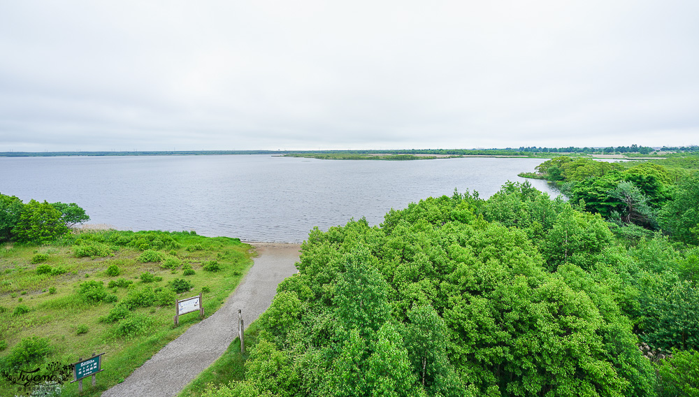 北海道苫小牧道路休息站|宇多內湖展望台「道の駅ウトナイ湖 展望台」吃美食小吃、買土產水果 @緹雅瑪 美食旅遊趣 北海道苫小牧道路休息站|宇多內湖展望台「道の駅ウトナイ湖 展望台」吃美食小吃、買土產水果 @緹雅瑪 美食旅遊趣