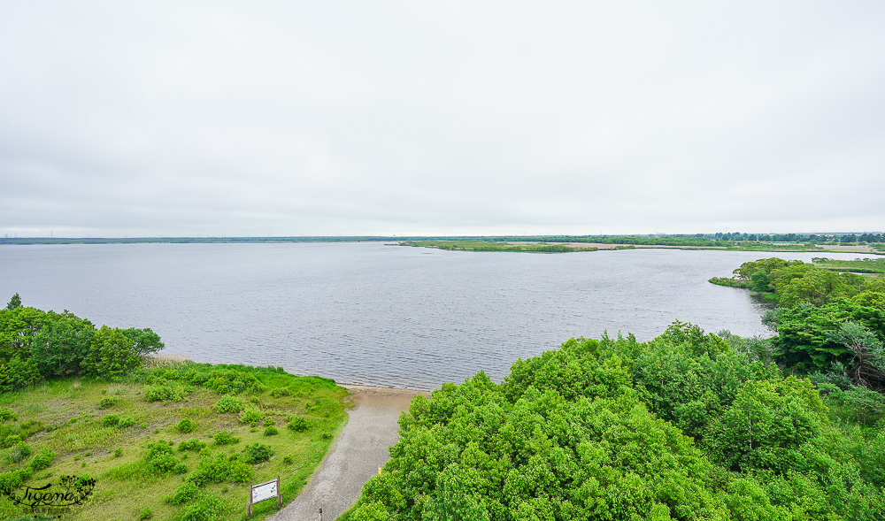 北海道苫小牧道路休息站|宇多內湖展望台「道の駅ウトナイ湖 展望台」吃美食小吃、買土產水果 @緹雅瑪 美食旅遊趣 北海道苫小牧道路休息站|宇多內湖展望台「道の駅ウトナイ湖 展望台」吃美食小吃、買土產水果 @緹雅瑪 美食旅遊趣