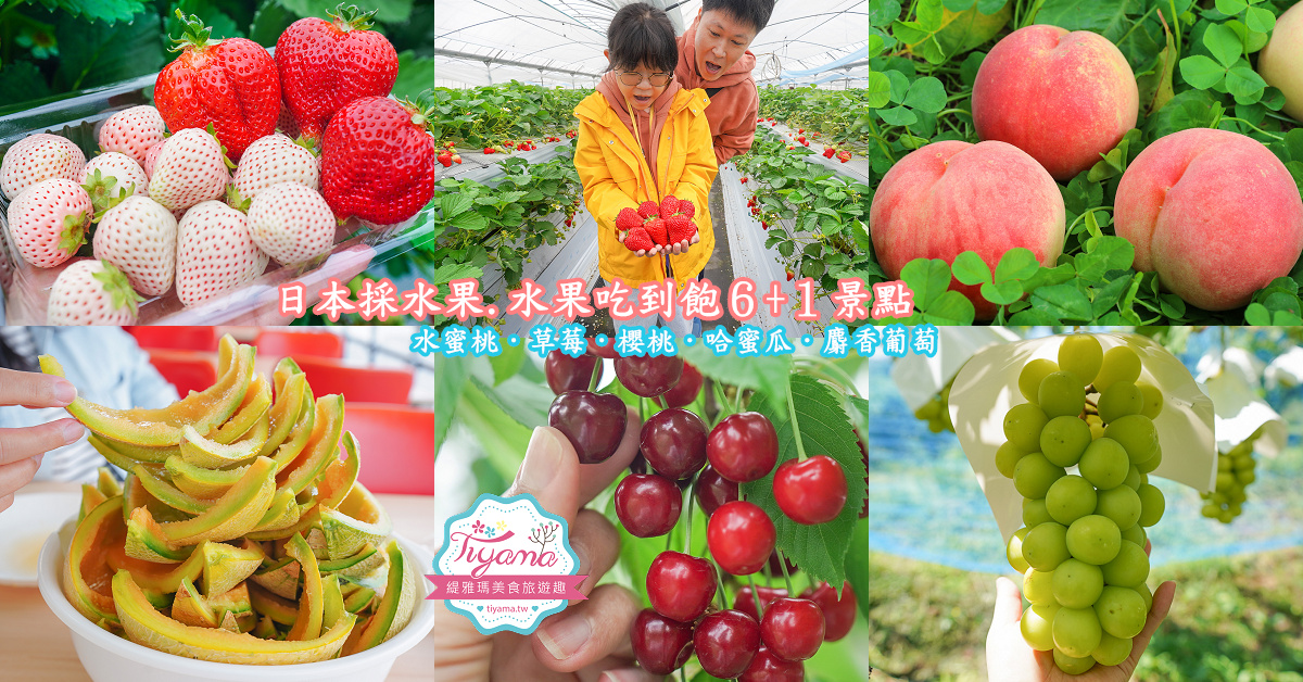 日本採水果吃到飽景點特輯！！收錄6+1個日本現採現吃水果&#038;吃到飽景點，水蜜桃吃到飽、草莓吃到飽、櫻桃吃到飽、哈蜜瓜吃到飽、採麝香葡萄 @緹雅瑪 美食旅遊趣