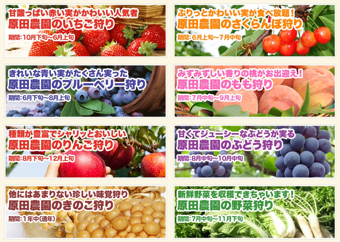 日本採水果吃到飽景點特輯!!收錄6+1個日本現採現吃水果&吃到飽景點,水蜜桃吃到飽、草莓吃到飽、櫻桃吃到飽、哈蜜瓜吃到飽、採麝香葡萄 @緹雅瑪 美食旅遊趣 日本採水果吃到飽景點特輯!!收錄6+1個日本現採現吃水果&吃到飽景點,水蜜桃吃到飽、草莓吃到飽、櫻桃吃到飽、哈蜜瓜吃到飽、採麝香葡萄 @緹雅瑪 美食旅遊趣