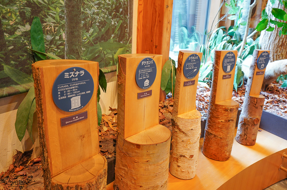 【北海道景點】支笏湖遊客中心｜山線鐵橋｜Patissier Labo｜支笏湖商店街 @緹雅瑪 美食旅遊趣