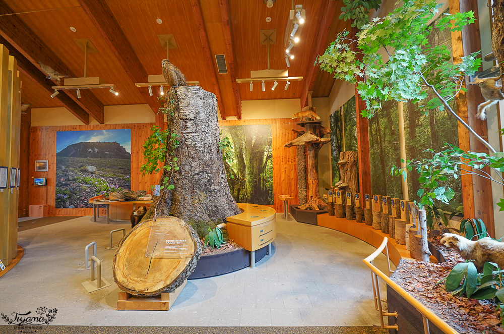 【北海道景點】支笏湖遊客中心｜山線鐵橋｜Patissier Labo｜支笏湖商店街 @緹雅瑪 美食旅遊趣