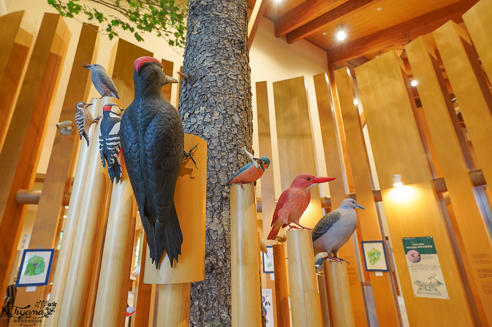 【北海道景點】支笏湖遊客中心｜山線鐵橋｜Patissier Labo｜支笏湖商店街 @緹雅瑪 美食旅遊趣