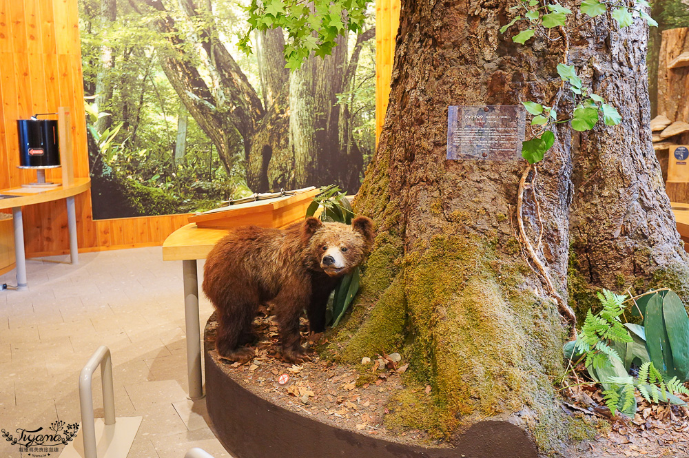 【北海道景點】支笏湖遊客中心｜山線鐵橋｜Patissier Labo｜支笏湖商店街 @緹雅瑪 美食旅遊趣
