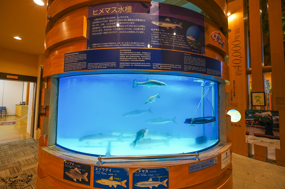 【北海道景點】支笏湖遊客中心｜山線鐵橋｜Patissier Labo｜支笏湖商店街 @緹雅瑪 美食旅遊趣