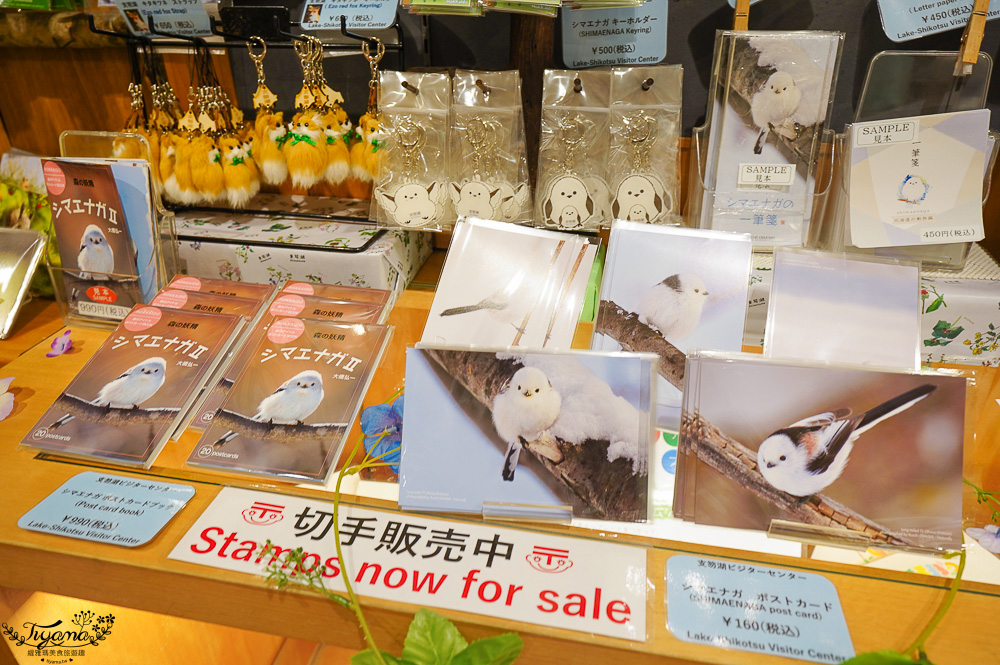 【北海道景點】支笏湖遊客中心｜山線鐵橋｜Patissier Labo｜支笏湖商店街 @緹雅瑪 美食旅遊趣