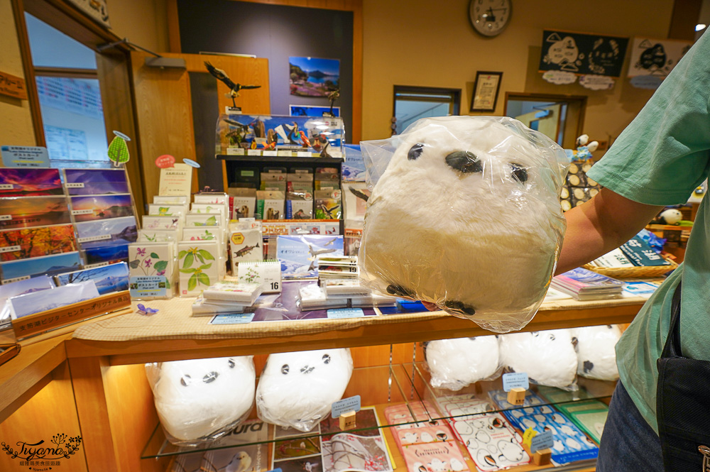 【北海道景點】支笏湖遊客中心｜山線鐵橋｜Patissier Labo｜支笏湖商店街 @緹雅瑪 美食旅遊趣