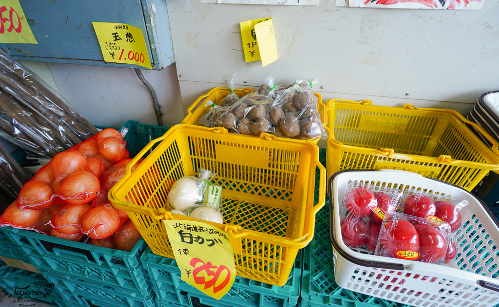北海道魚市場｜苫小牧漁市場「海之驛Puratto Minato市場．海の駅ぷらっとみなと市場」新鮮海鮮市場、ほっき貝資料館 @緹雅瑪 美食旅遊趣