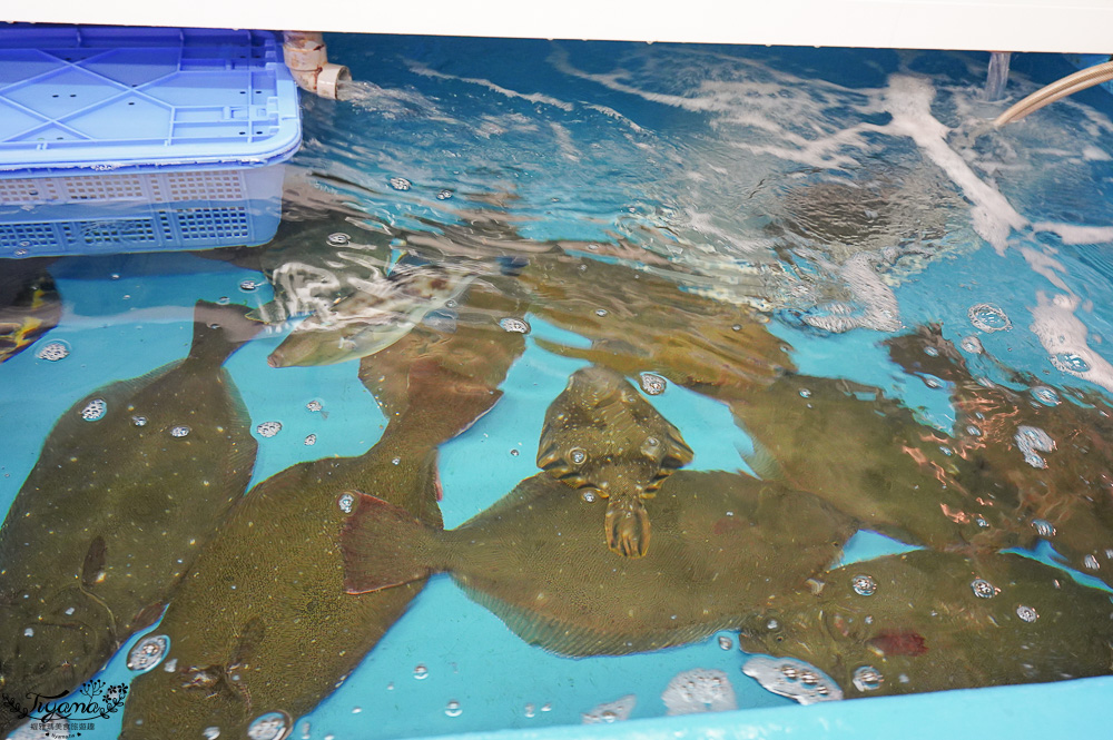 北海道魚市場｜苫小牧漁市場「海之驛Puratto Minato市場．海の駅ぷらっとみなと市場」新鮮海鮮市場、ほっき貝資料館 @緹雅瑪 美食旅遊趣