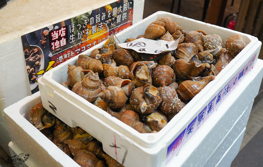 北海道魚市場｜苫小牧漁市場「海之驛Puratto Minato市場．海の駅ぷらっとみなと市場」新鮮海鮮市場、ほっき貝資料館 @緹雅瑪 美食旅遊趣