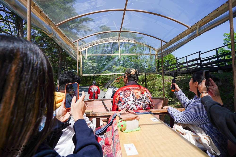 青森人氣住宿｜星野集團 青森屋 完整食宿篇！！陸奧祭屋表演．櫻燈之湯．歡騰廣場．蘋果汁水龍頭．Noresore食堂自助早晚餐．春日暖桌馬車 @緹雅瑪 美食旅遊趣