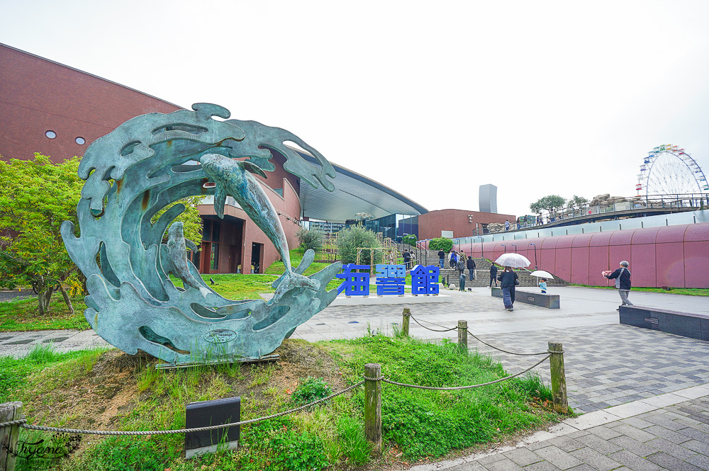下關水族館．海響館攻略：全世界最多種類河豚展示，日本最大”企鵝村”，世界稀有藍鯨全身骨骼標本，海豚海獅同台表演秀 @緹雅瑪 美食旅遊趣