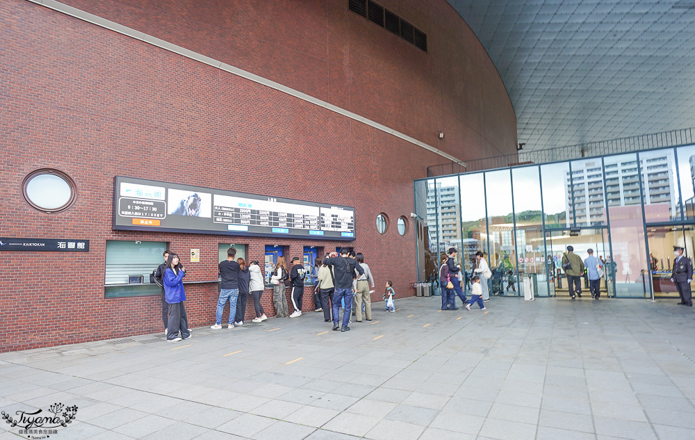 下關水族館．海響館攻略：全世界最多種類河豚展示，日本最大”企鵝村”，世界稀有藍鯨全身骨骼標本，海豚海獅同台表演秀 @緹雅瑪 美食旅遊趣