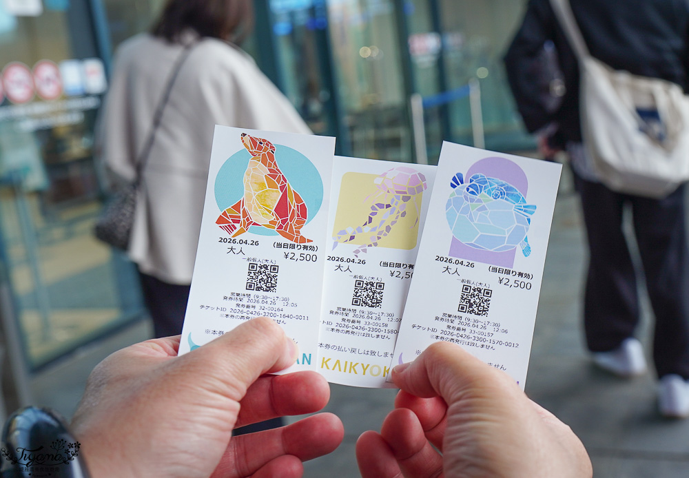 下關水族館．海響館攻略：全世界最多種類河豚展示，日本最大”企鵝村”，世界稀有藍鯨全身骨骼標本，海豚海獅同台表演秀 @緹雅瑪 美食旅遊趣