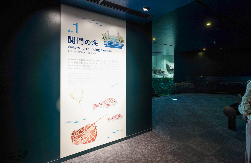 下關水族館．海響館攻略：全世界最多種類河豚展示，日本最大”企鵝村”，世界稀有藍鯨全身骨骼標本，海豚海獅同台表演秀 @緹雅瑪 美食旅遊趣