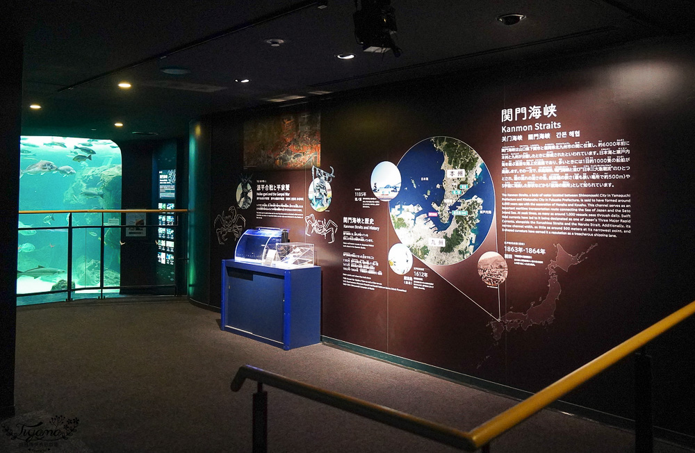 下關水族館．海響館攻略：全世界最多種類河豚展示，日本最大”企鵝村”，世界稀有藍鯨全身骨骼標本，海豚海獅同台表演秀 @緹雅瑪 美食旅遊趣