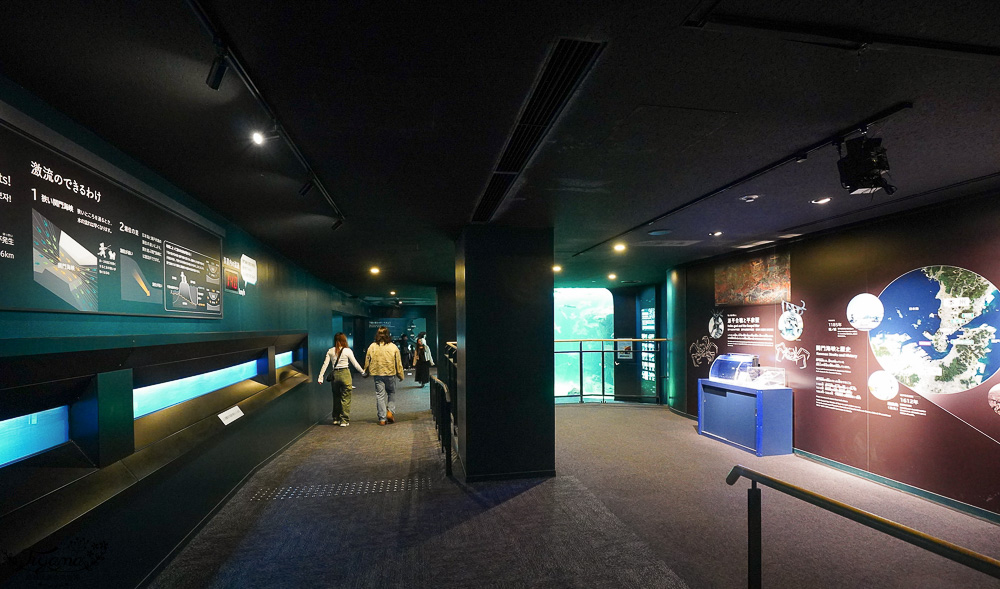 下關水族館．海響館攻略：全世界最多種類河豚展示，日本最大”企鵝村”，世界稀有藍鯨全身骨骼標本，海豚海獅同台表演秀 @緹雅瑪 美食旅遊趣