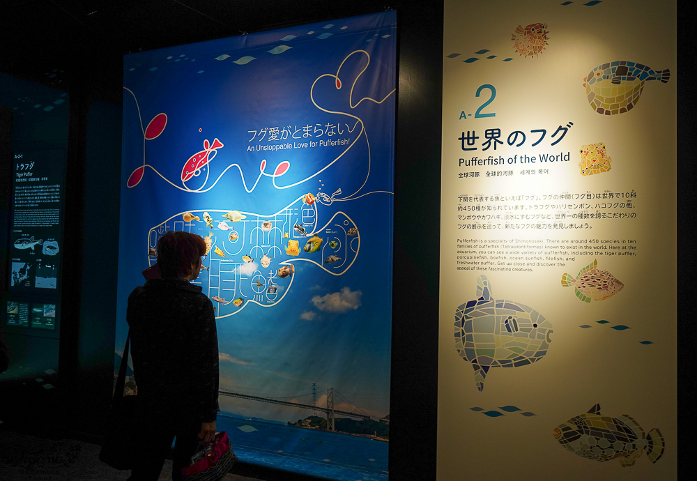 下關水族館．海響館攻略：全世界最多種類河豚展示，日本最大”企鵝村”，世界稀有藍鯨全身骨骼標本，海豚海獅同台表演秀 @緹雅瑪 美食旅遊趣