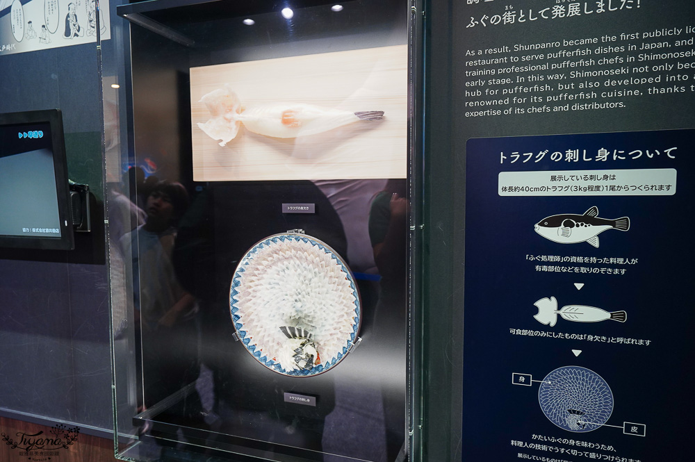 下關水族館．海響館攻略：全世界最多種類河豚展示，日本最大”企鵝村”，世界稀有藍鯨全身骨骼標本，海豚海獅同台表演秀 @緹雅瑪 美食旅遊趣