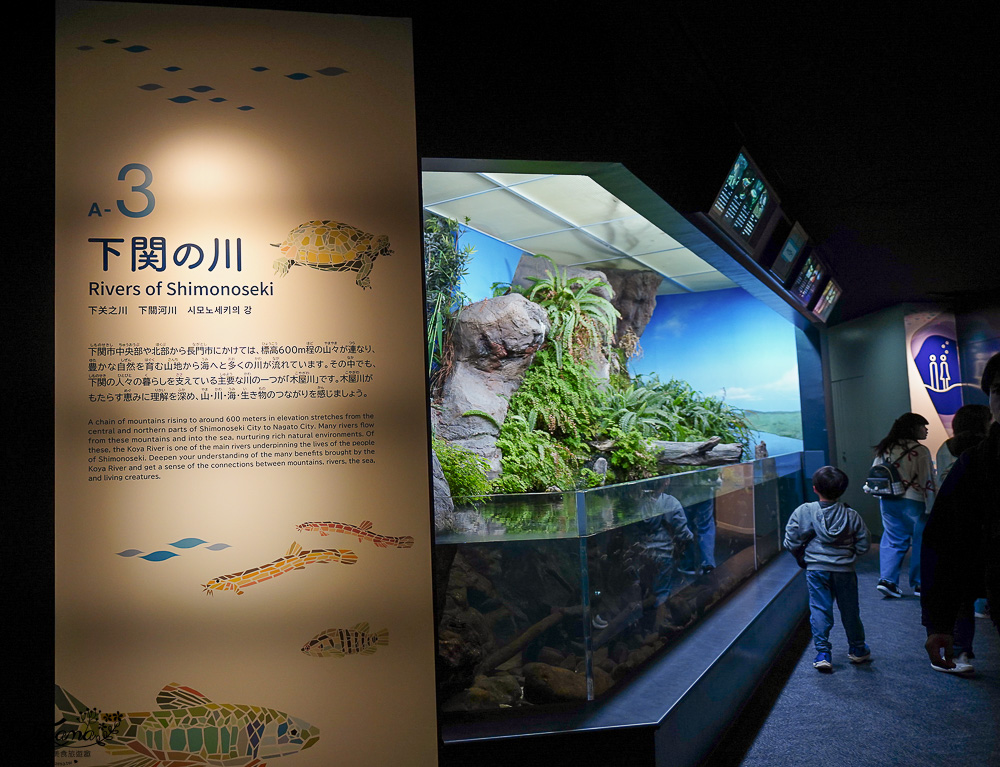 下關水族館．海響館攻略：全世界最多種類河豚展示，日本最大”企鵝村”，世界稀有藍鯨全身骨骼標本，海豚海獅同台表演秀 @緹雅瑪 美食旅遊趣