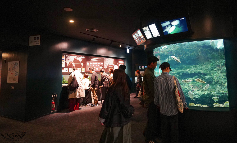 下關水族館．海響館攻略：全世界最多種類河豚展示，日本最大”企鵝村”，世界稀有藍鯨全身骨骼標本，海豚海獅同台表演秀 @緹雅瑪 美食旅遊趣