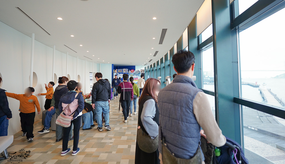下關水族館．海響館攻略：全世界最多種類河豚展示，日本最大”企鵝村”，世界稀有藍鯨全身骨骼標本，海豚海獅同台表演秀 @緹雅瑪 美食旅遊趣