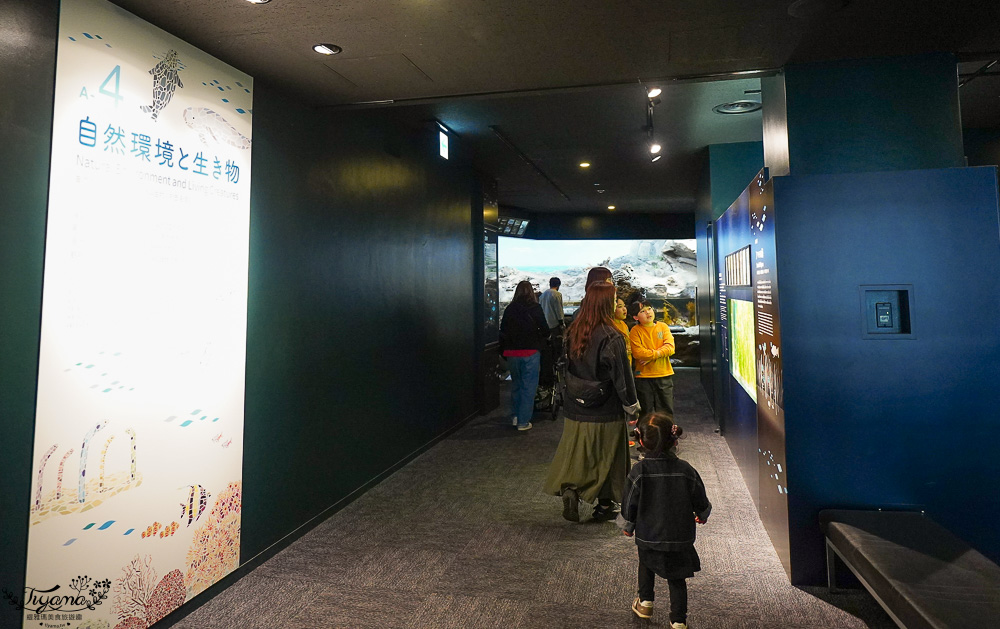 下關水族館．海響館攻略：全世界最多種類河豚展示，日本最大”企鵝村”，世界稀有藍鯨全身骨骼標本，海豚海獅同台表演秀 @緹雅瑪 美食旅遊趣