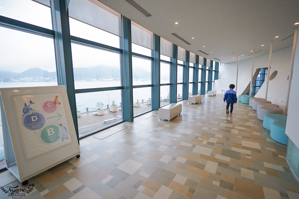 下關水族館．海響館攻略：全世界最多種類河豚展示，日本最大”企鵝村”，世界稀有藍鯨全身骨骼標本，海豚海獅同台表演秀 @緹雅瑪 美食旅遊趣