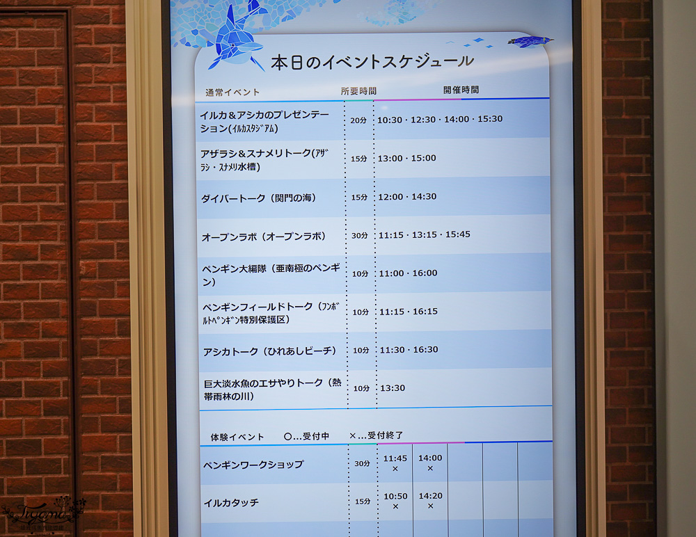 下關水族館．海響館攻略：全世界最多種類河豚展示，日本最大”企鵝村”，世界稀有藍鯨全身骨骼標本，海豚海獅同台表演秀 @緹雅瑪 美食旅遊趣