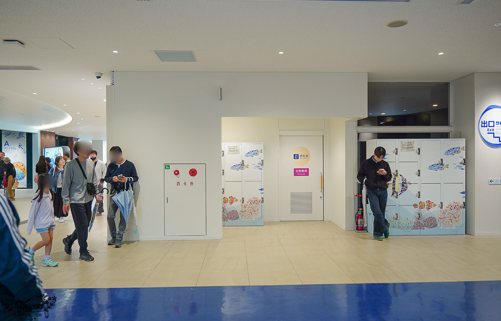下關水族館．海響館攻略：全世界最多種類河豚展示，日本最大”企鵝村”，世界稀有藍鯨全身骨骼標本，海豚海獅同台表演秀 @緹雅瑪 美食旅遊趣