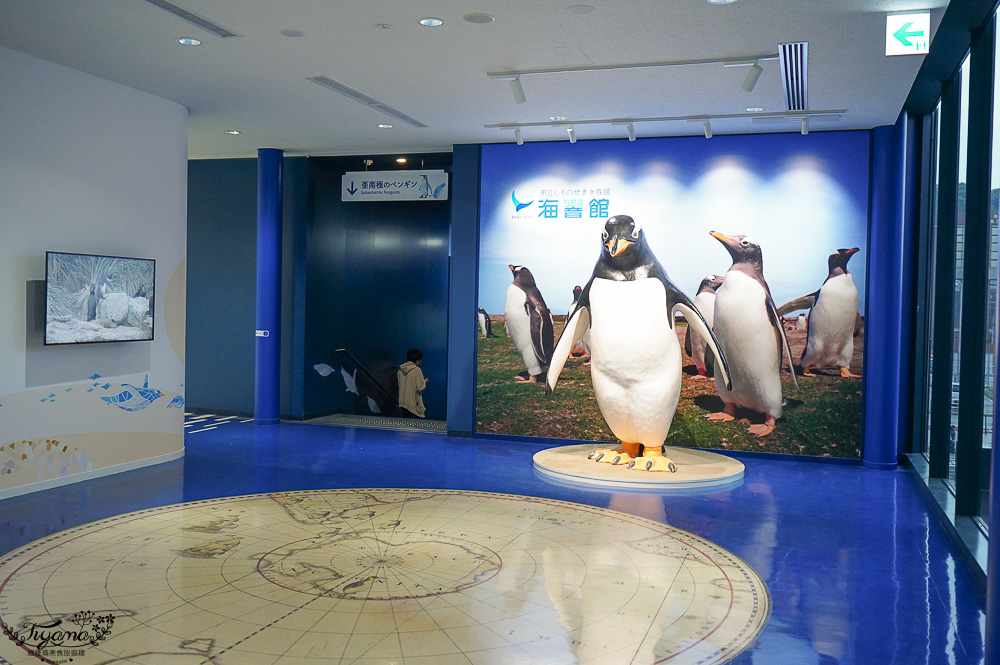 下關水族館．海響館攻略：全世界最多種類河豚展示，日本最大”企鵝村”，世界稀有藍鯨全身骨骼標本，海豚海獅同台表演秀 @緹雅瑪 美食旅遊趣