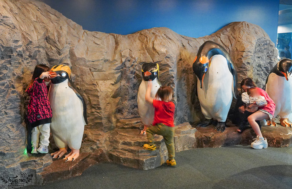 下關水族館．海響館攻略：全世界最多種類河豚展示，日本最大”企鵝村”，世界稀有藍鯨全身骨骼標本，海豚海獅同台表演秀 @緹雅瑪 美食旅遊趣