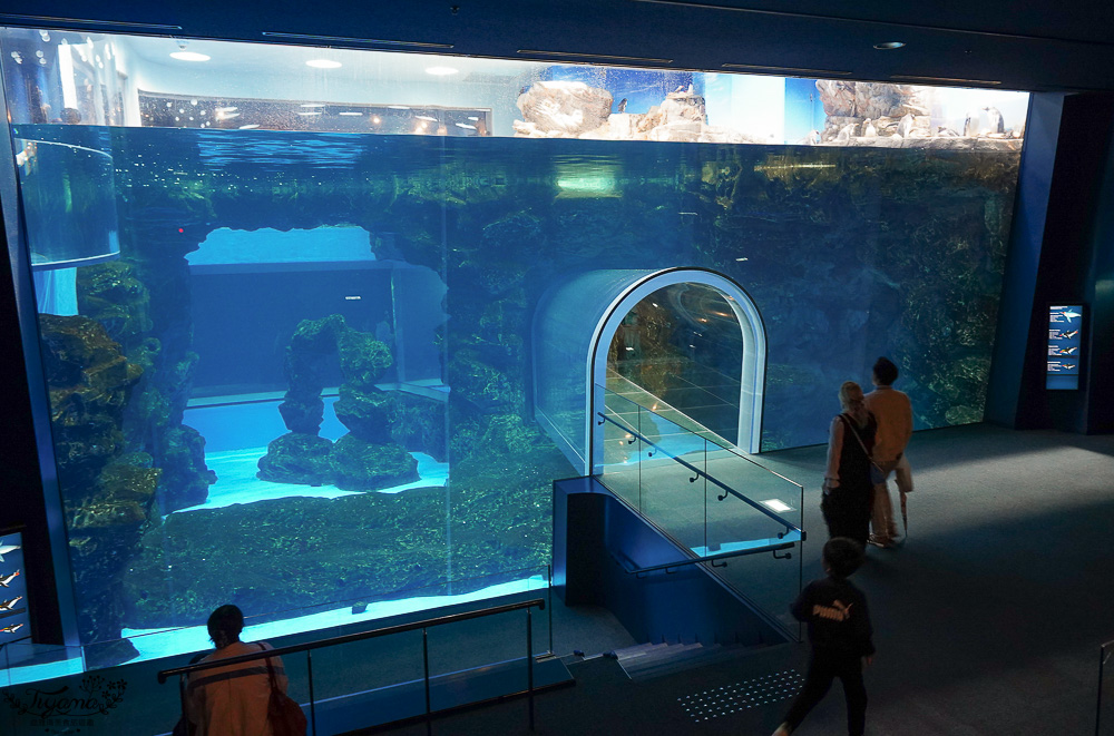 下關水族館．海響館攻略：全世界最多種類河豚展示，日本最大”企鵝村”，世界稀有藍鯨全身骨骼標本，海豚海獅同台表演秀 @緹雅瑪 美食旅遊趣