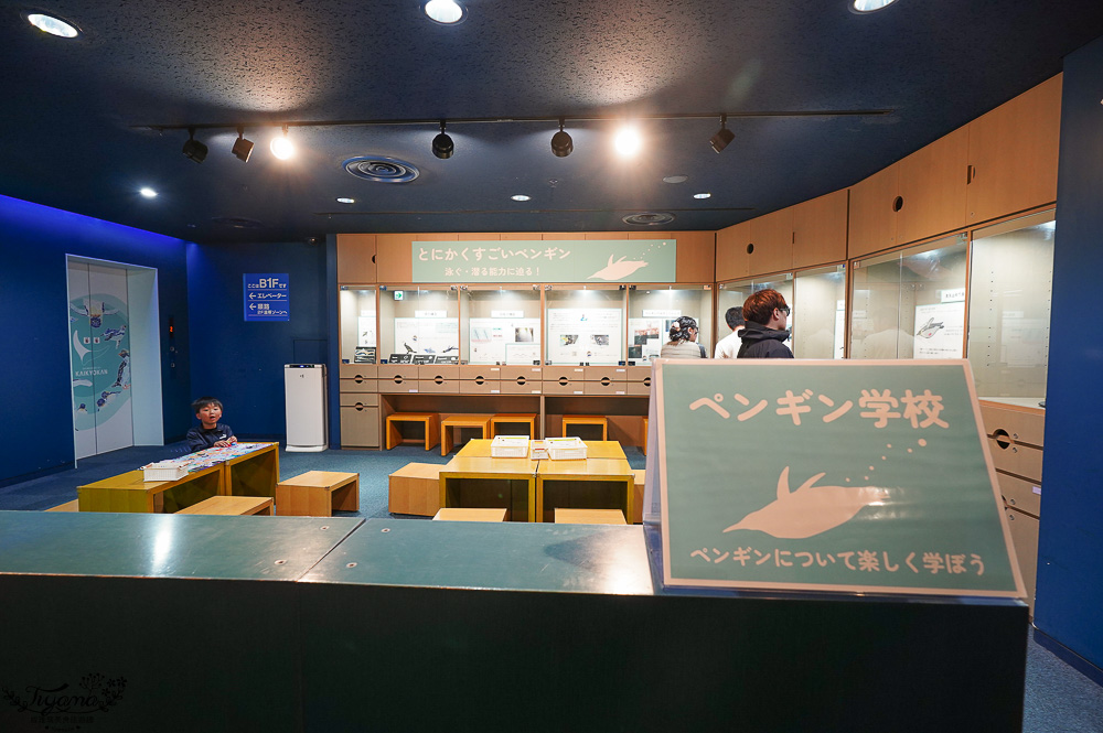 下關水族館．海響館攻略：全世界最多種類河豚展示，日本最大”企鵝村”，世界稀有藍鯨全身骨骼標本，海豚海獅同台表演秀 @緹雅瑪 美食旅遊趣