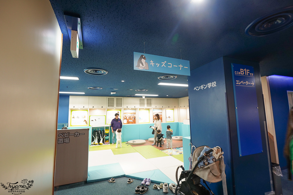 下關水族館．海響館攻略：全世界最多種類河豚展示，日本最大”企鵝村”，世界稀有藍鯨全身骨骼標本，海豚海獅同台表演秀 @緹雅瑪 美食旅遊趣